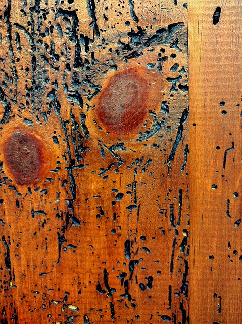 TARLI LEGNO